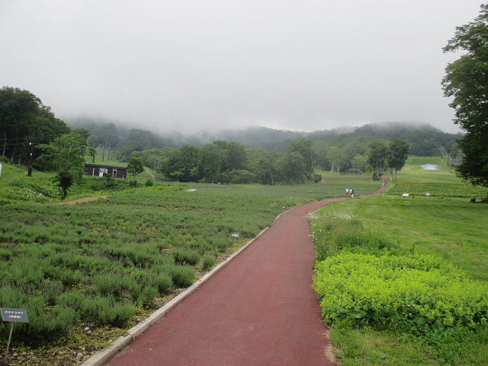 f:id:sasugami:20150706161631j:plain f:id:sasugami:20150706161631j:plain