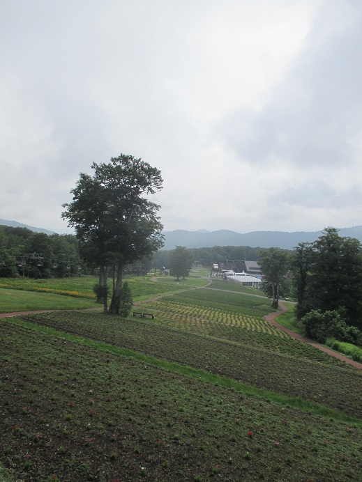 f:id:sasugami:20150706161643j:plain f:id:sasugami:20150706161643j:plain