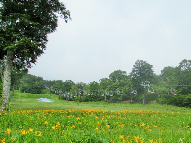 f:id:sasugami:20150706162713j:plain f:id:sasugami:20150706162713j:plain