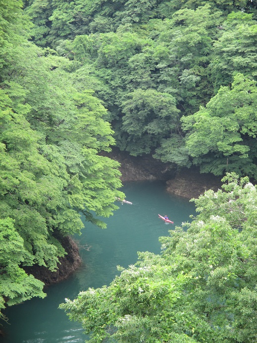f:id:sasugami:20150708141417j:plain f:id:sasugami:20150708141417j:plain