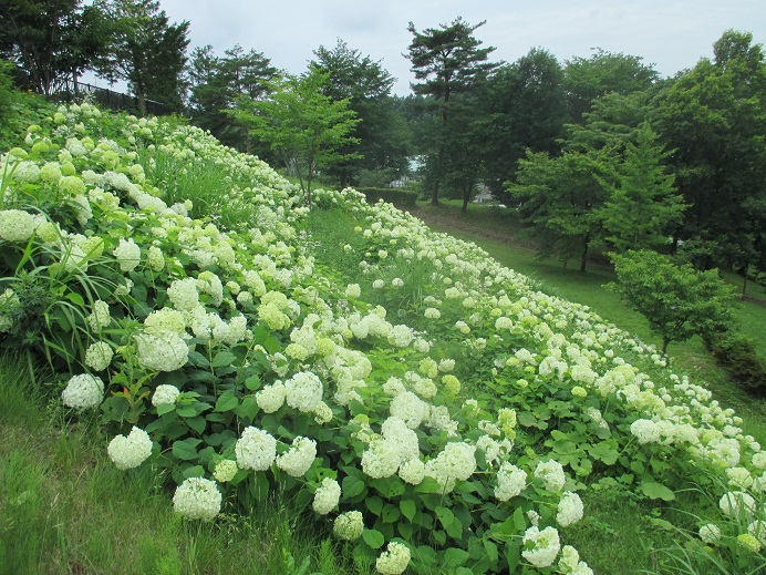 f:id:sasugami:20150708182050j:plain f:id:sasugami:20150708182050j:plain