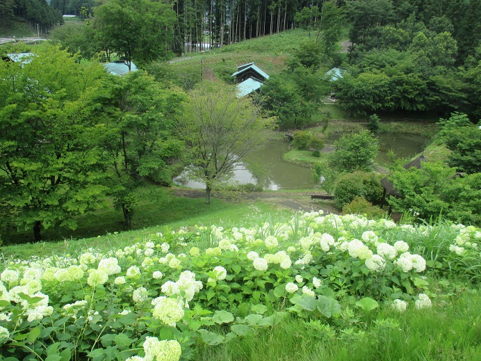 f:id:sasugami:20150708182054j:plain f:id:sasugami:20150708182054j:plain