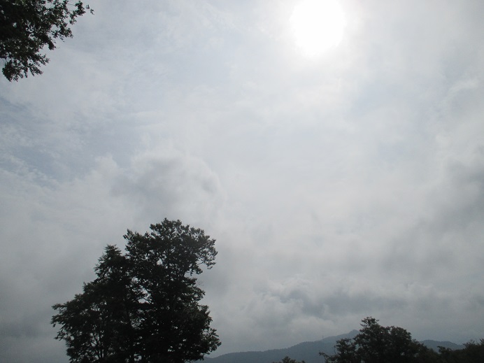 f:id:sasugami:20150709113658j:plain f:id:sasugami:20150709113658j:plain