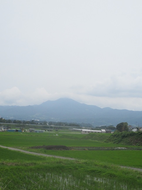 f:id:sasugami:20150709113703j:plain f:id:sasugami:20150709113703j:plain