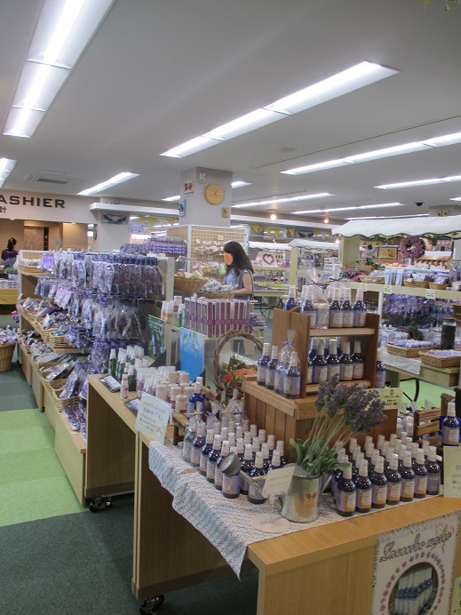 f:id:sasugami:20150710210135j:plain f:id:sasugami:20150710210135j:plain
