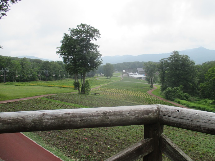 f:id:sasugami:20150711121113j:plain f:id:sasugami:20150711121113j:plain