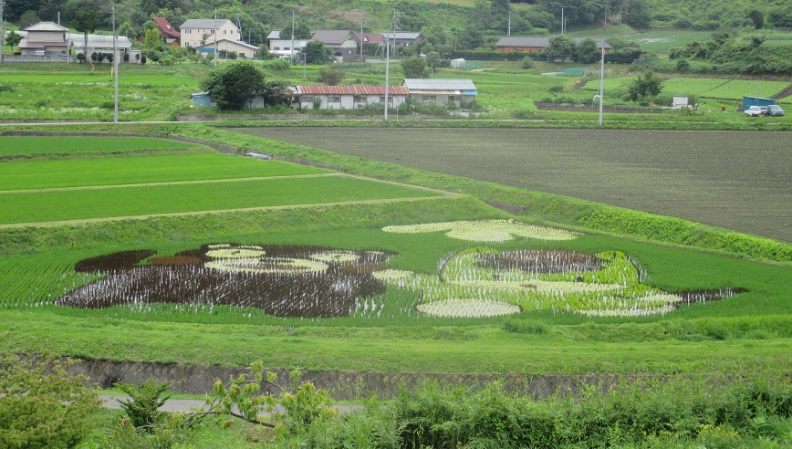 f:id:sasugami:20150711162013j:plain f:id:sasugami:20150711162013j:plain