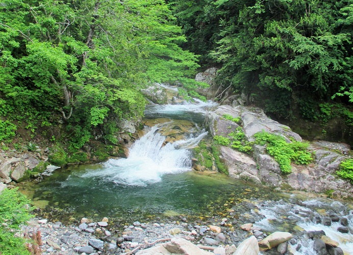 f:id:sasugami:20150714160058j:plain f:id:sasugami:20150714160058j:plain