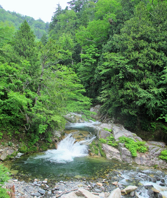 f:id:sasugami:20150714160739j:plain f:id:sasugami:20150714160739j:plain