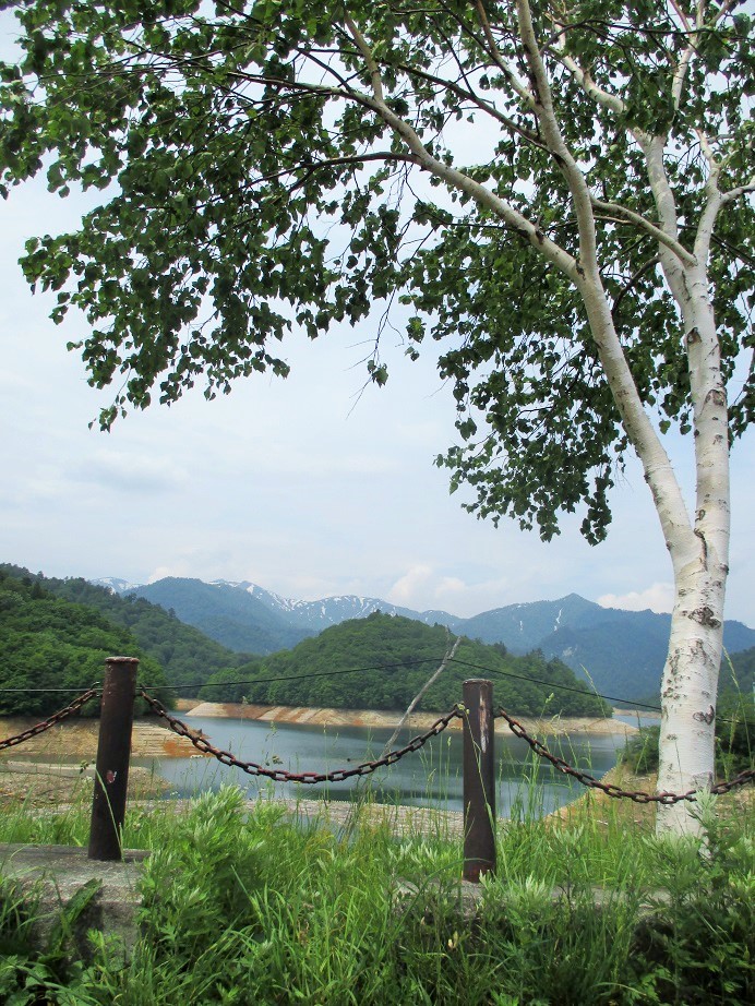 f:id:sasugami:20150715120421j:plain f:id:sasugami:20150715120421j:plain