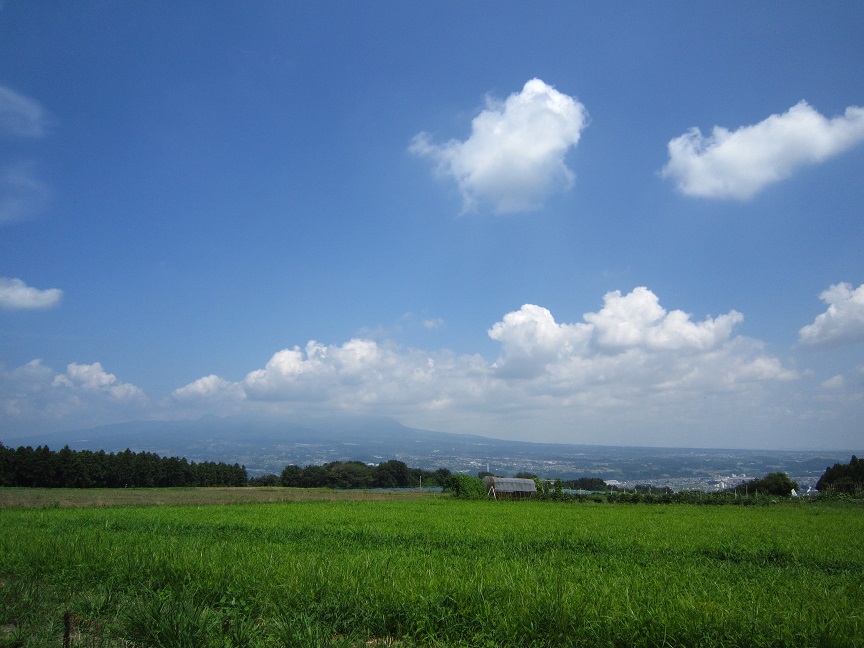 f:id:sasugami:20150810184625j:plain f:id:sasugami:20150810184625j:plain