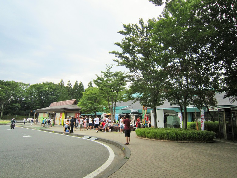 f:id:sasugami:20150813055554j:plain f:id:sasugami:20150813055554j:plain
