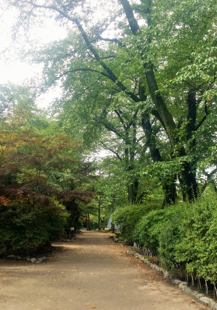 f:id:sasugami:20150831204201j:plain f:id:sasugami:20150831204201j:plain