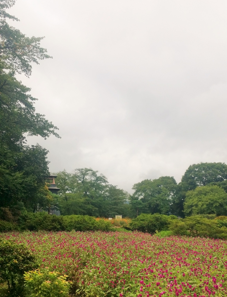 f:id:sasugami:20150831204226j:plain f:id:sasugami:20150831204226j:plain