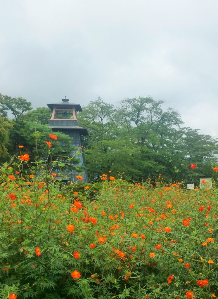 f:id:sasugami:20150831204232j:plain f:id:sasugami:20150831204232j:plain