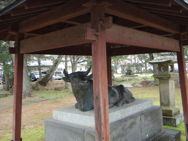 f:id:sasurai-neko:20150130163448j:plain f:id:sasurai-neko:20150130163448j:plain