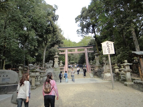 f:id:sasurai-neko:20150302192553j:plain f:id:sasurai-neko:20150302192553j:plain