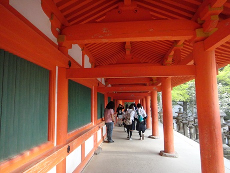 f:id:sasurai-neko:20150302192554j:plain f:id:sasurai-neko:20150302192554j:plain