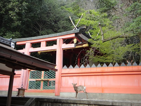 f:id:sasurai-neko:20150302192732j:plain f:id:sasurai-neko:20150302192732j:plain