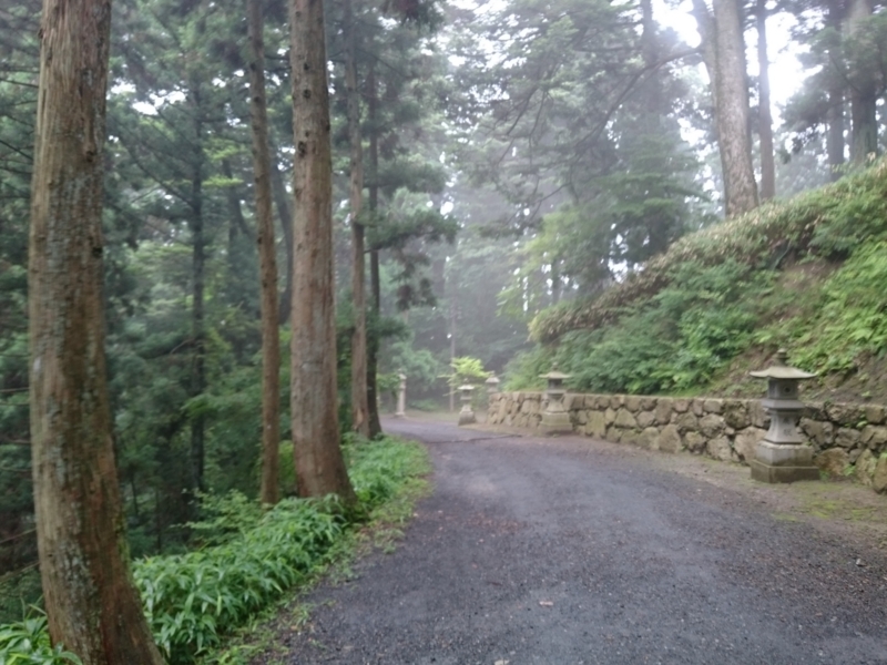 f:id:sasurai-neko:20150716151008j:plain
