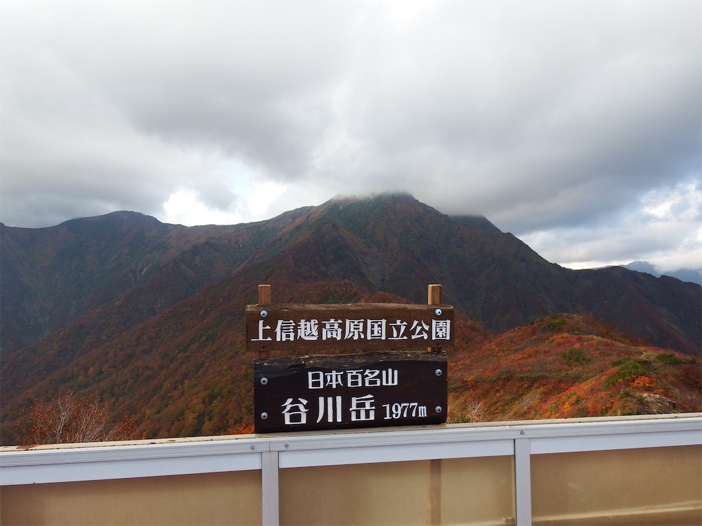 f:id:sato4reiji:20151029225205j:image f:id:sato4reiji:20151029225205j:image