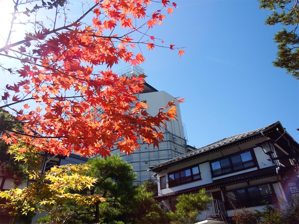 f:id:sato4reiji:20151029225633j:image f:id:sato4reiji:20151029225633j:image