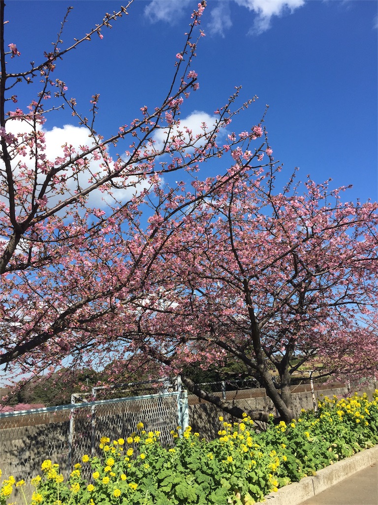 f:id:sato4reiji:20160305204714j:image f:id:sato4reiji:20160305204714j:image
