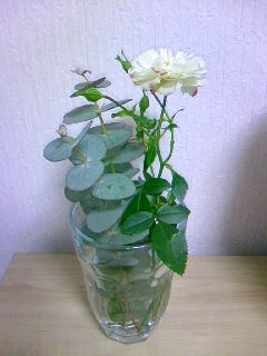 f:id:satoko123:20110124185756j:image f:id:satoko123:20110124185756j:image