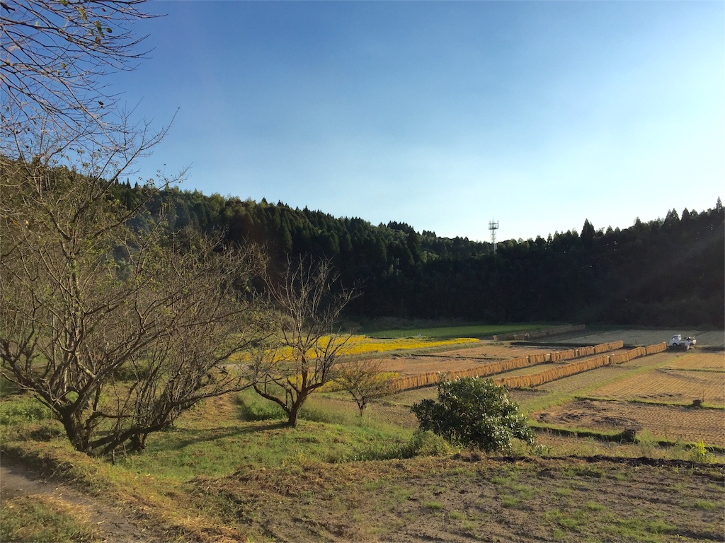 f:id:satoko123:20151017180538j:image f:id:satoko123:20151017180538j:image
