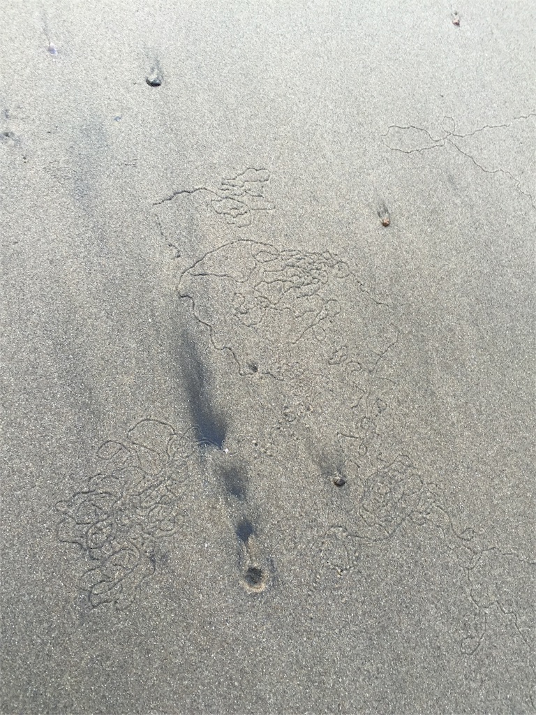 f:id:satoko123:20151117155651j:image f:id:satoko123:20151117155651j:image