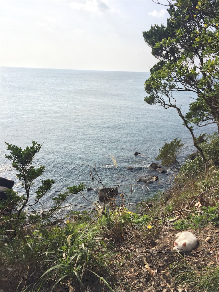 f:id:satoko123:20160111225112j:image f:id:satoko123:20160111225112j:image