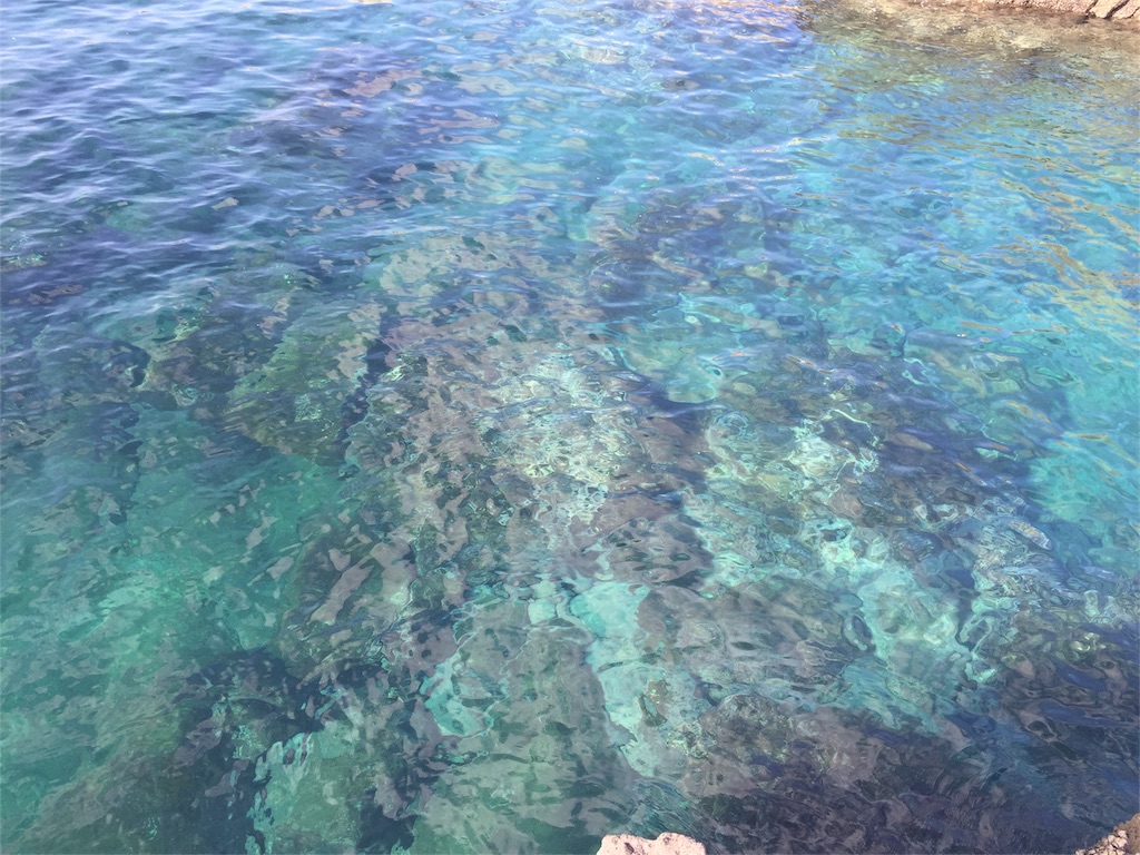 f:id:satoko123:20160111225236j:image f:id:satoko123:20160111225236j:image