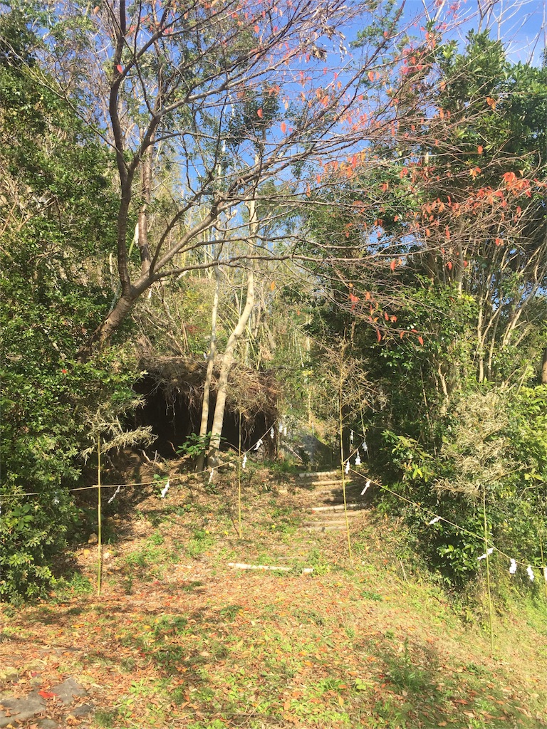 f:id:satoko123:20160111232212j:image f:id:satoko123:20160111232212j:image