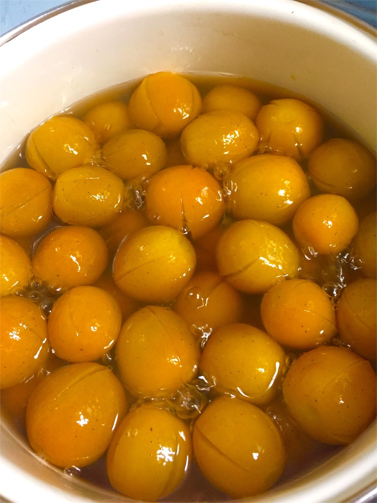 f:id:satoko123:20160121220019j:image f:id:satoko123:20160121220019j:image