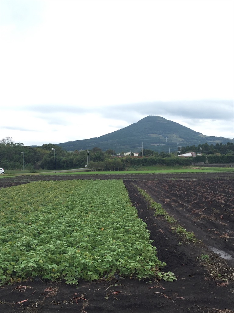 f:id:satoko123:20160206232125j:image f:id:satoko123:20160206232125j:image