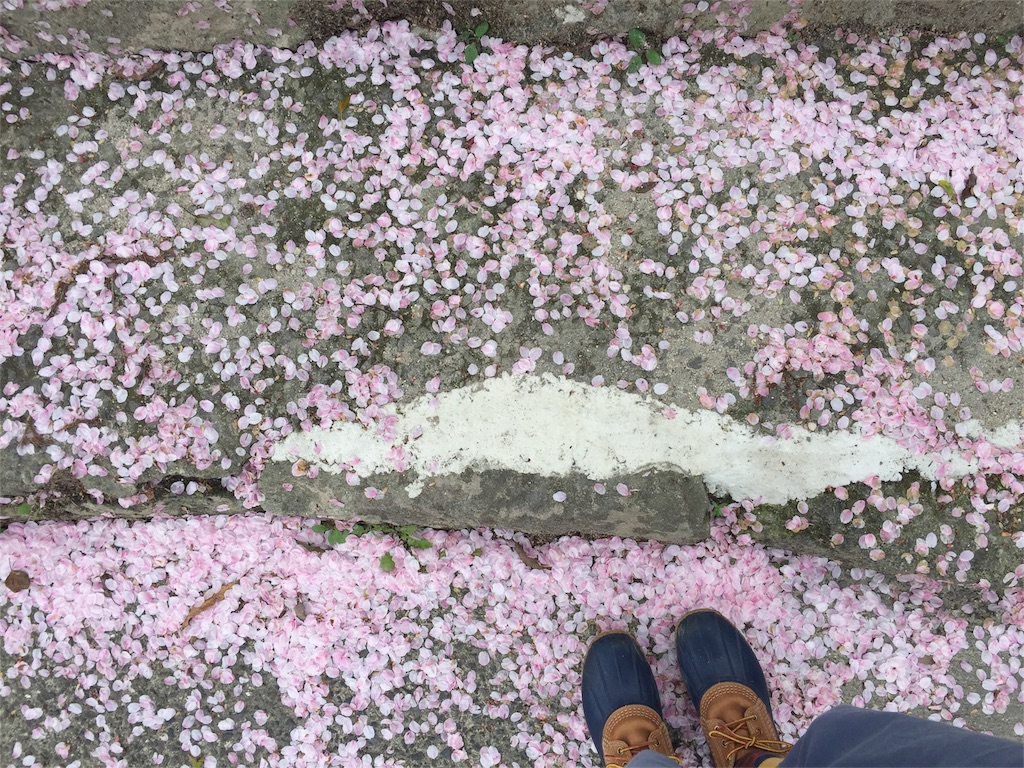 f:id:satoko123:20160407215128j:image f:id:satoko123:20160407215128j:image