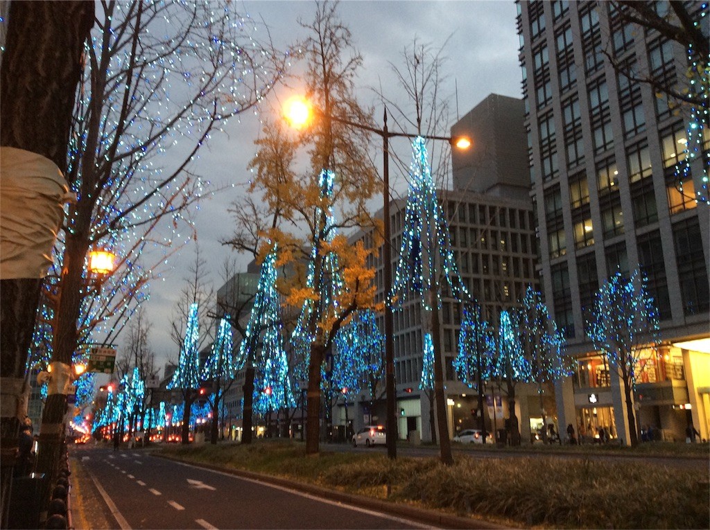f:id:satomame:20151226235145j:image f:id:satomame:20151226235145j:image
