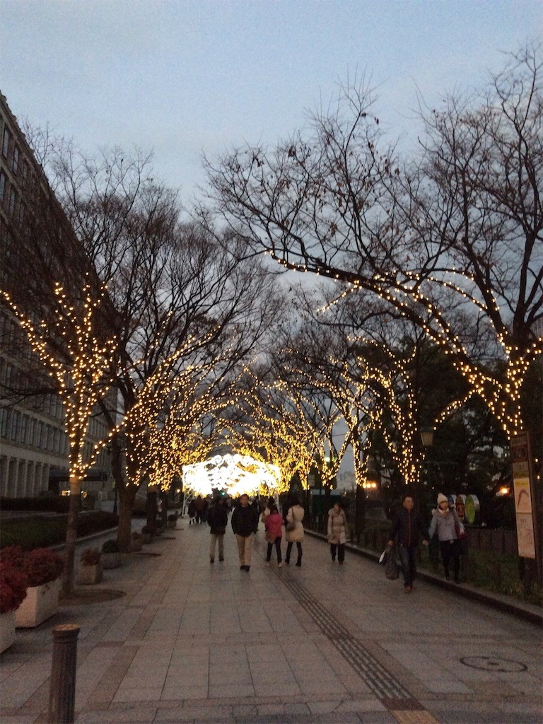 f:id:satomame:20151226235312j:image f:id:satomame:20151226235312j:image
