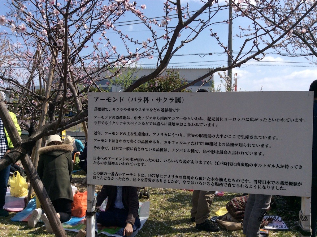 f:id:satomame:20160320165721j:image f:id:satomame:20160320165721j:image