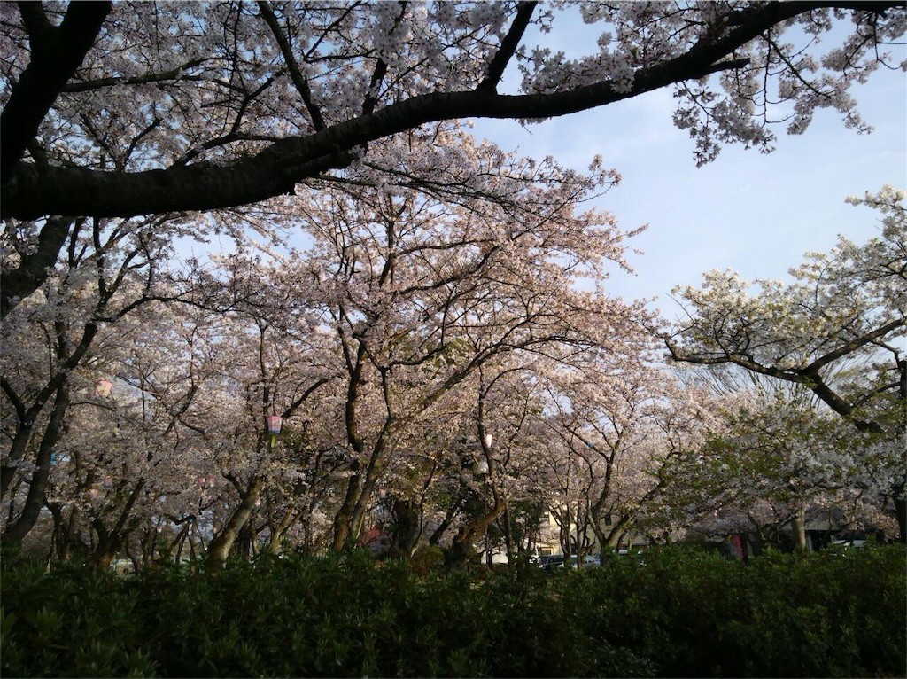f:id:satomame:20160411215703j:image f:id:satomame:20160411215703j:image