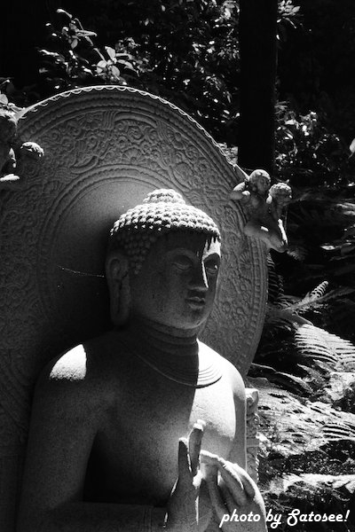 f:id:satosee:20160509190556j:plain