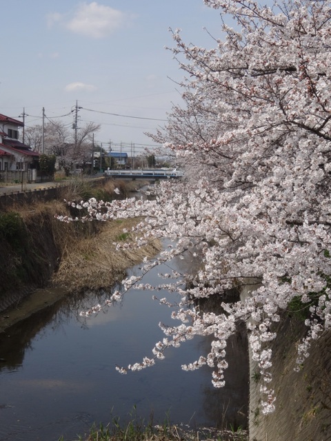f:id:satoshick0825:20140403091940j:plain f:id:satoshick0825:20140403091940j:plain