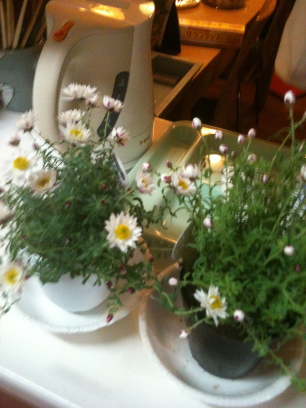 f:id:satouyuka:20120227210325j:plain f:id:satouyuka:20120227210325j:plain