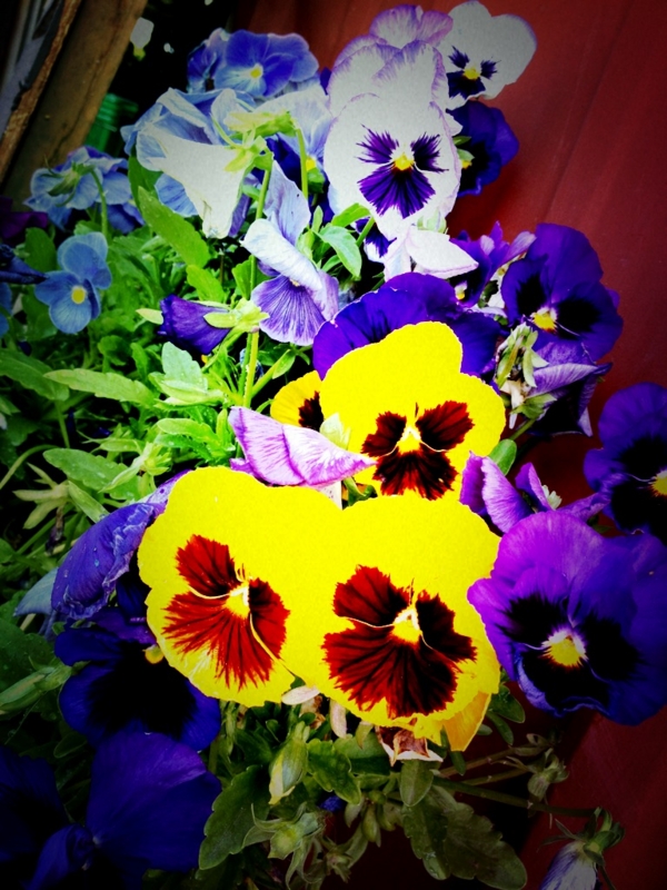 f:id:satouyuka:20131113125411j:plain f:id:satouyuka:20131113125411j:plain