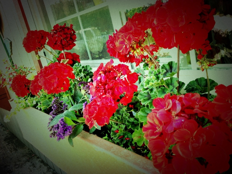 f:id:satouyuka:20131113125420j:plain f:id:satouyuka:20131113125420j:plain