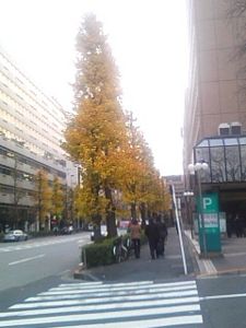 f:id:satoyamakong:20091218012116j:image f:id:satoyamakong:20091218012116j:image