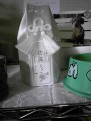 f:id:satoyamakong:20101104233300j:image f:id:satoyamakong:20101104233300j:image