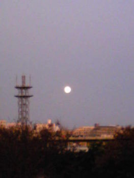 f:id:satoyamakong:20111210164000j:image f:id:satoyamakong:20111210164000j:image