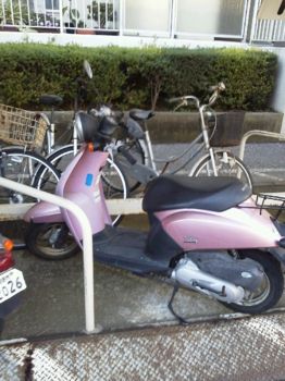 f:id:satoyamakong:20121107231555j:image f:id:satoyamakong:20121107231555j:image