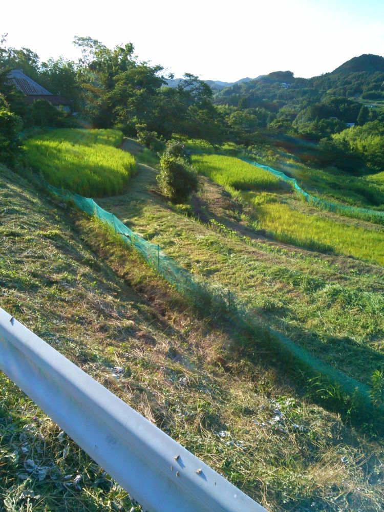 f:id:satoyamakong:20140801171531j:plain f:id:satoyamakong:20140801171531j:plain